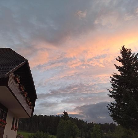 Ferienwohnung Brentenholz Sankt Georgen im Schwarzwald Ngoại thất bức ảnh