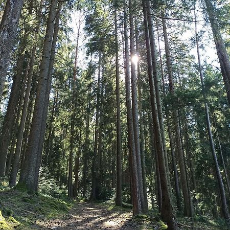 Ferienwohnung Brentenholz Sankt Georgen im Schwarzwald Ngoại thất bức ảnh