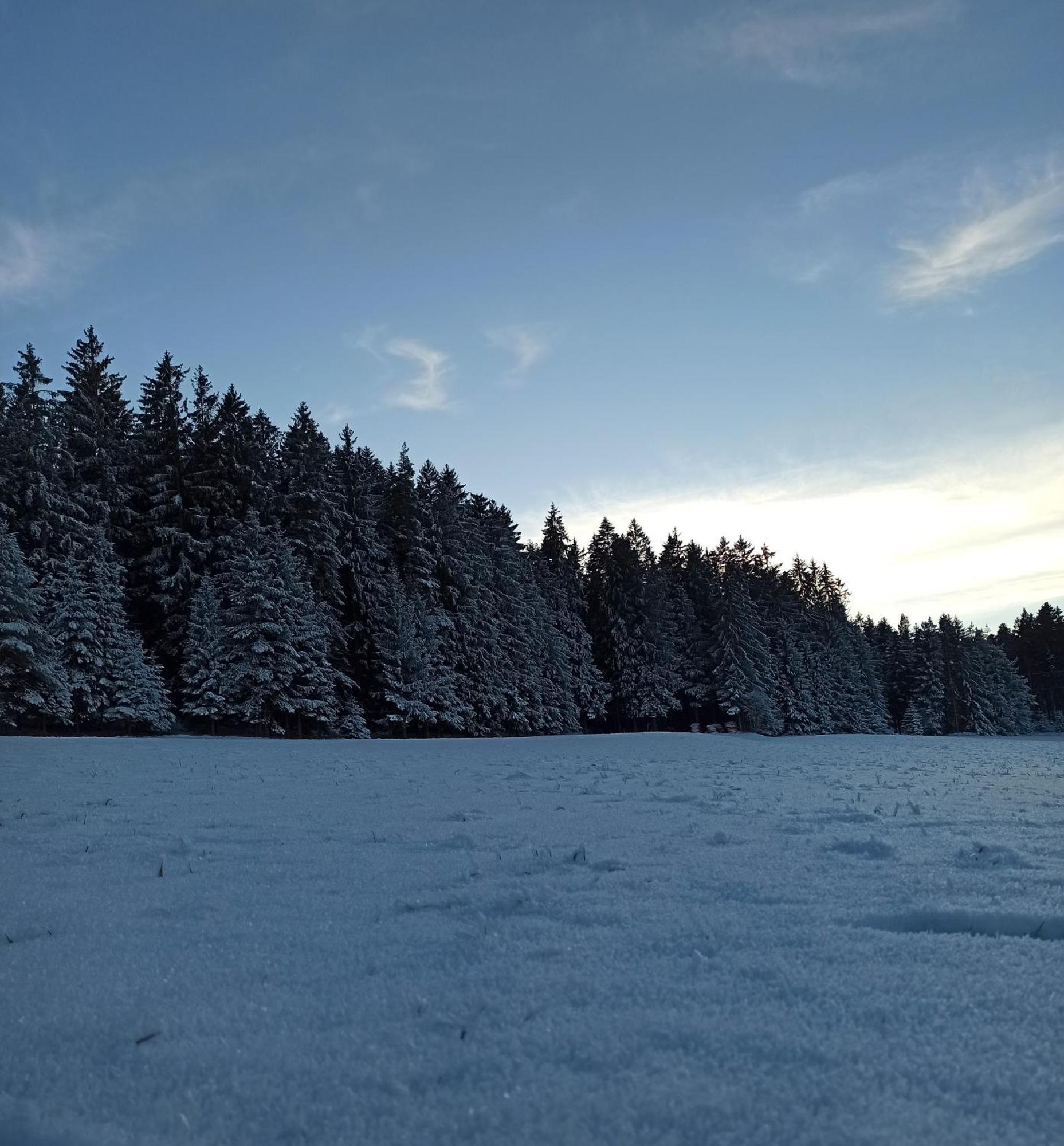 Ferienwohnung Brentenholz Sankt Georgen im Schwarzwald Ngoại thất bức ảnh